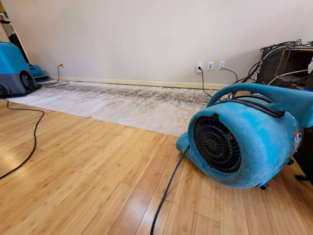 Reliable Emergency Water Removal contractor in Monroe Township, NJ by Hirex Water Damage