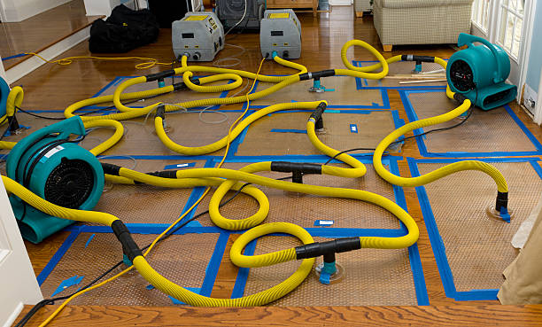 Professional Emergency Water Removal technician working in Monroe Township, NJ